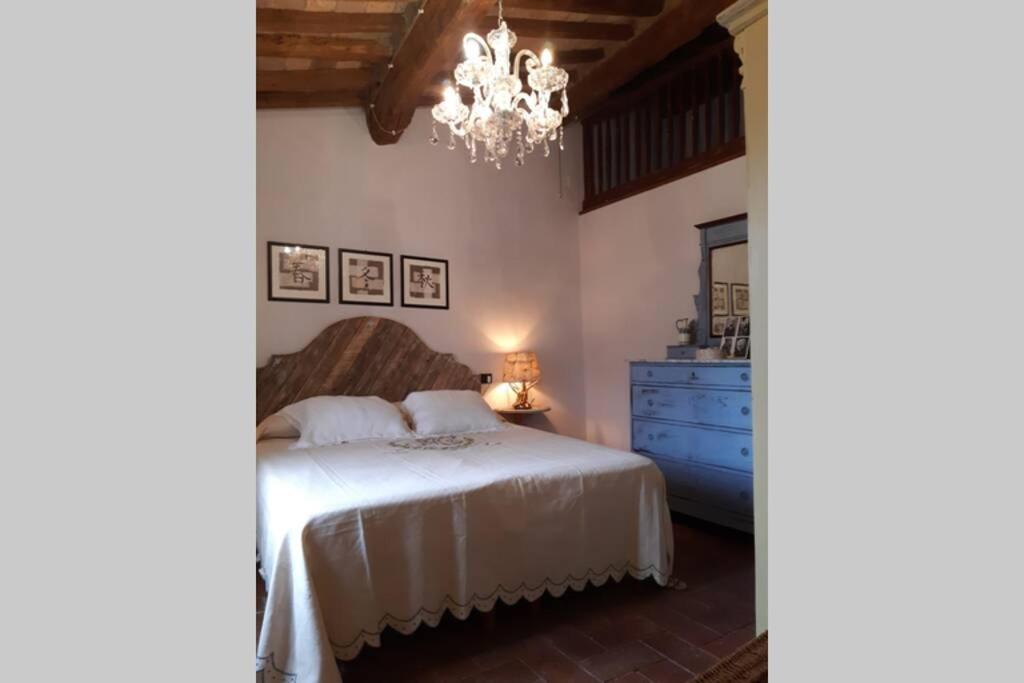 Antiche Fonti Apartment Bibbona Exterior foto